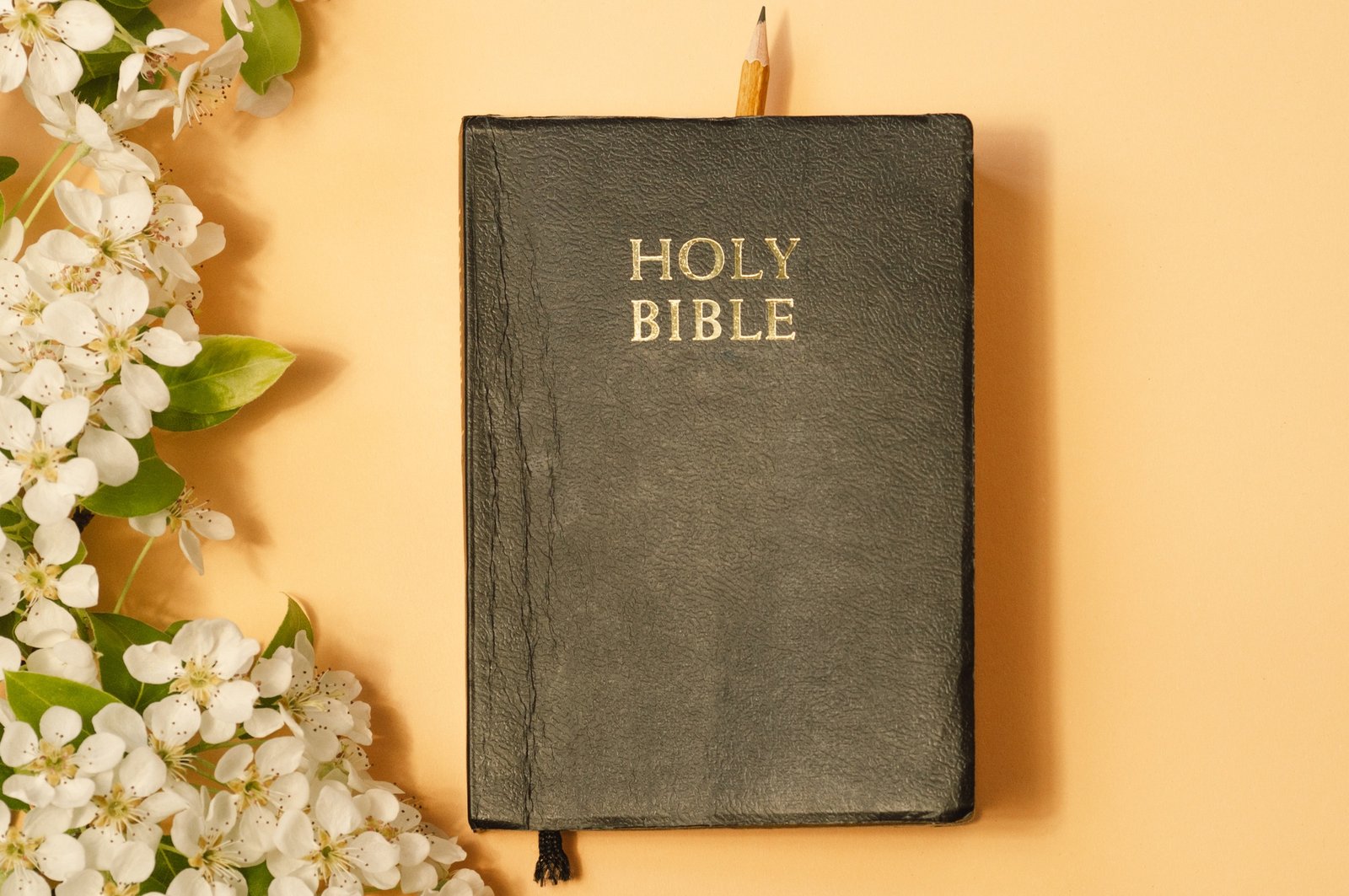 Reading the bible